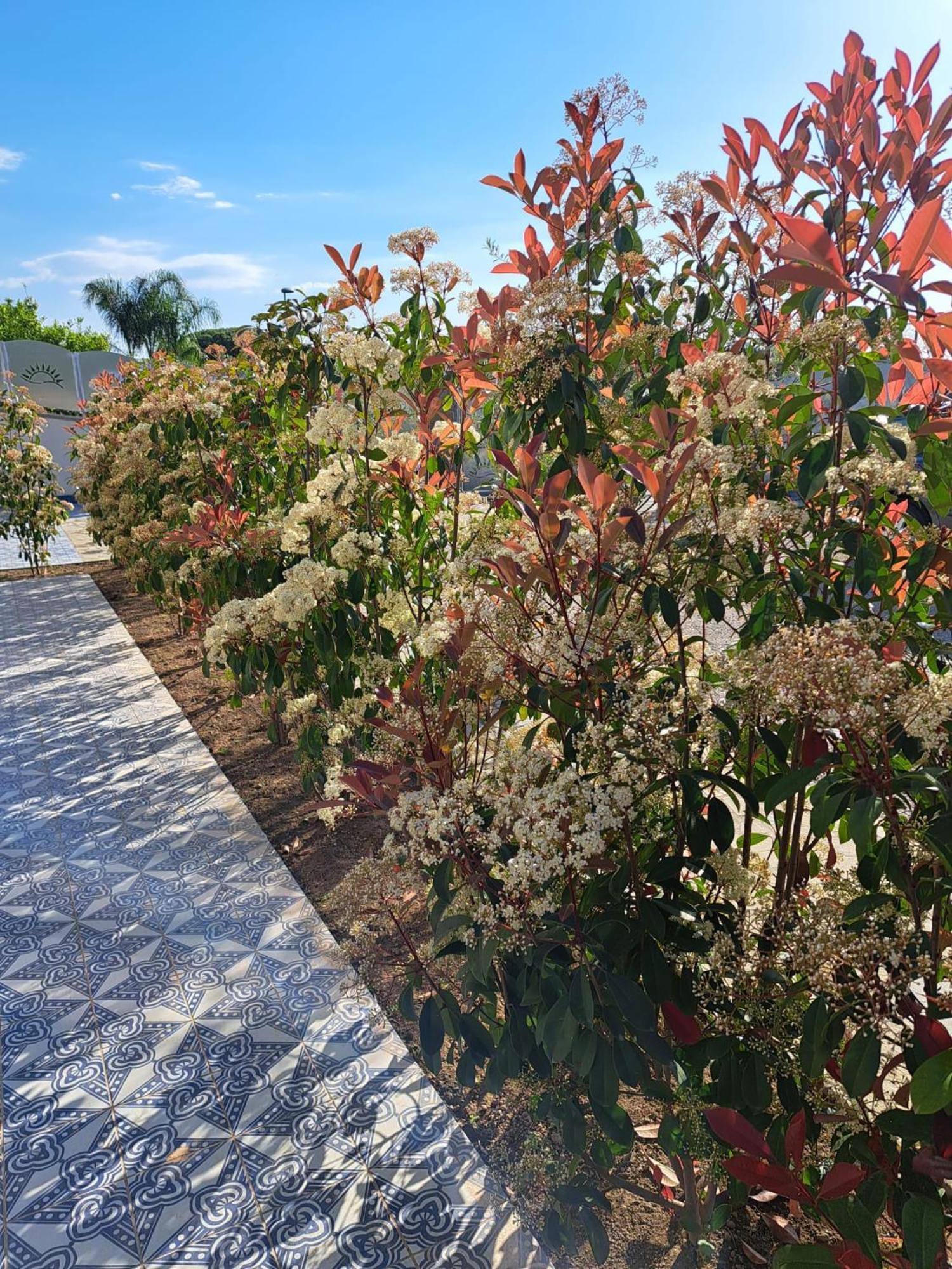 Paoma Bed & Breakfast Agropoli Exterior foto